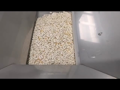 흰 콩에 1개의 낙하산