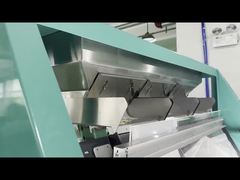 흰 콩 색상 분류기